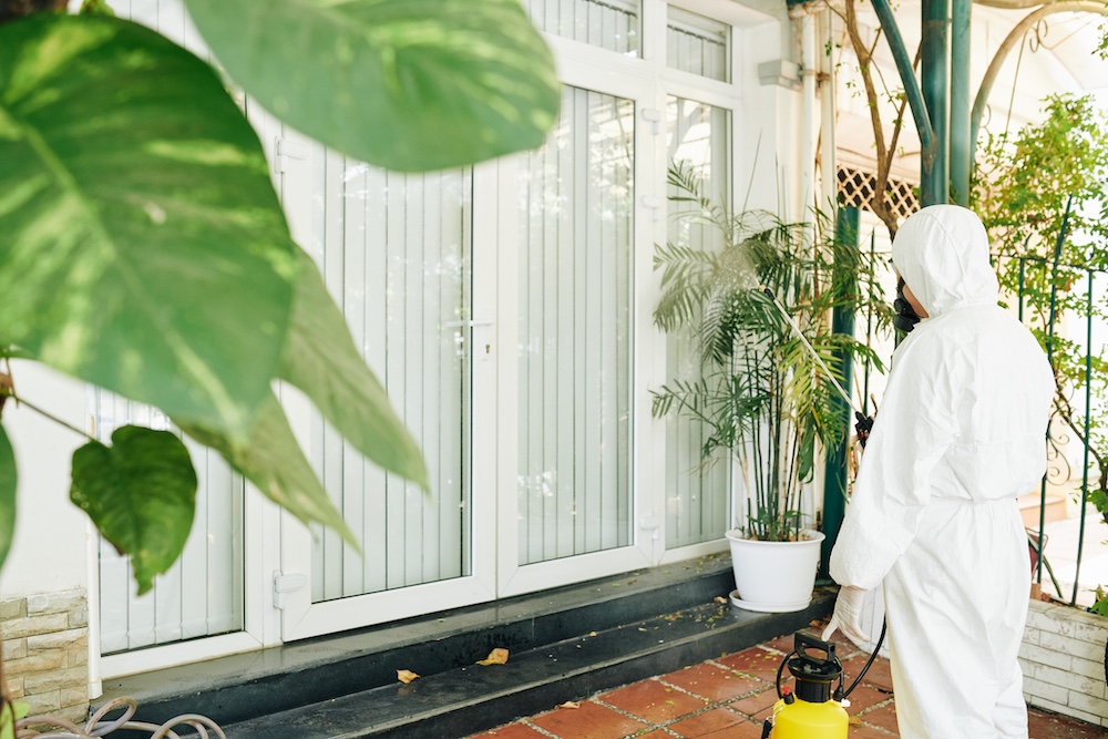 Disinfecting service worker in white protective suit and gas mask cleaning entrance doors of house